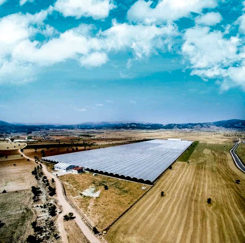 Sera Yeri Seçimi Yapılırken Nelere Dikkat Edilmelidir.