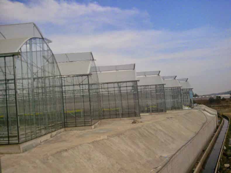 Seracılık Nedir Nasıl Olmalıdır.